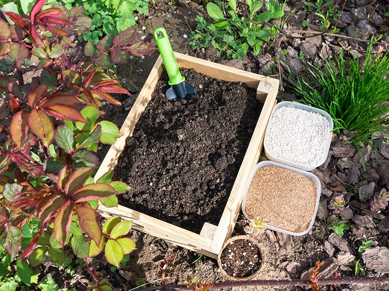 Perlite für Pflanzen kaufen